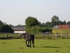 Bitte zum Vergrern und zur Dia-Show anklicken!