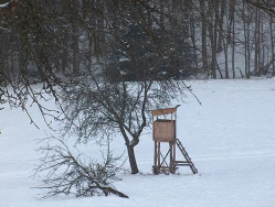 Bitte zum Vergrern und zur Dia-Show anklicken!