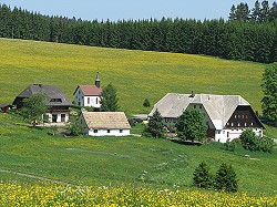 Bitte zum Vergrern und zur Dia-Show anklicken!