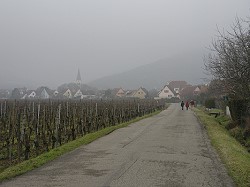 Bitte zum Vergrern und zur Dia-Show anklicken!