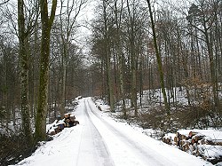 Bitte zum Vergrern und zur Dia-Show anklicken!