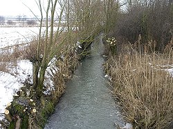 Bitte zum Vergrern und zur Dia-Show anklicken!