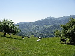 Bitte zum Vergrern und zur Dia-Show anklicken!