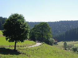 Bitte zum Vergrern und zur Dia-Show anklicken!