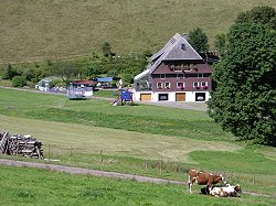 Bitte zum Vergrern und zur Dia-Show anklicken!