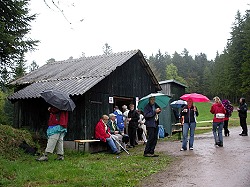 Bitte zum Vergrern und zur Dia-Show anklicken!