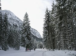 Bitte zum Vergrern und zur Dia-Show anklicken!