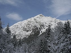 Bitte zum Vergrern und zur Dia-Show anklicken!