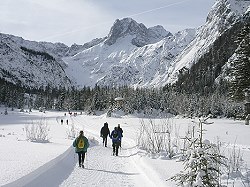 Bitte zum Vergrern und zur Dia-Show anklicken!