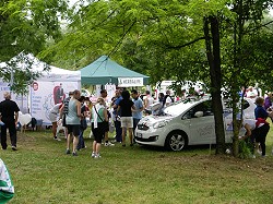 Bitte zum Vergrern und zur Dia-Show anklicken!