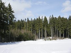 Bitte zum Vergrern und zur Dia-Show anklicken!