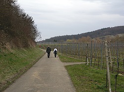 Bitte zum Vergrern und zur Dia-Show anklicken!