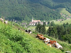 Bitte zum Vergrern und zur Dia-Show anklicken!