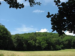 Bitte zum Vergrern und zur Dia-Show anklicken!