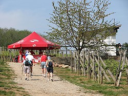 Bitte zum Vergrern und zur Dia-Show anklicken!